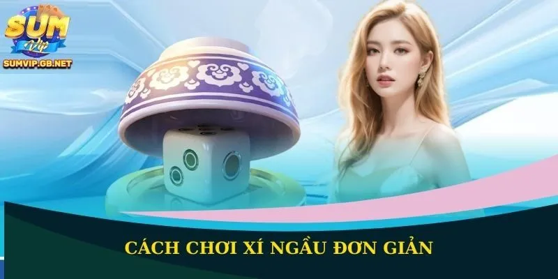 Cách chơi Xí Ngầu đơn giản