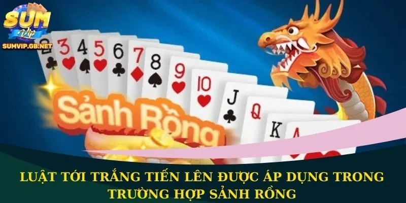 Luật tới trắng Tiến Lên được áp dụng trong trường hợp sảnh rồng