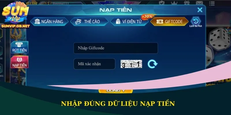 Nhập đúng dữ liệu nạp tiền